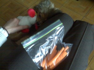 carrots and alfie