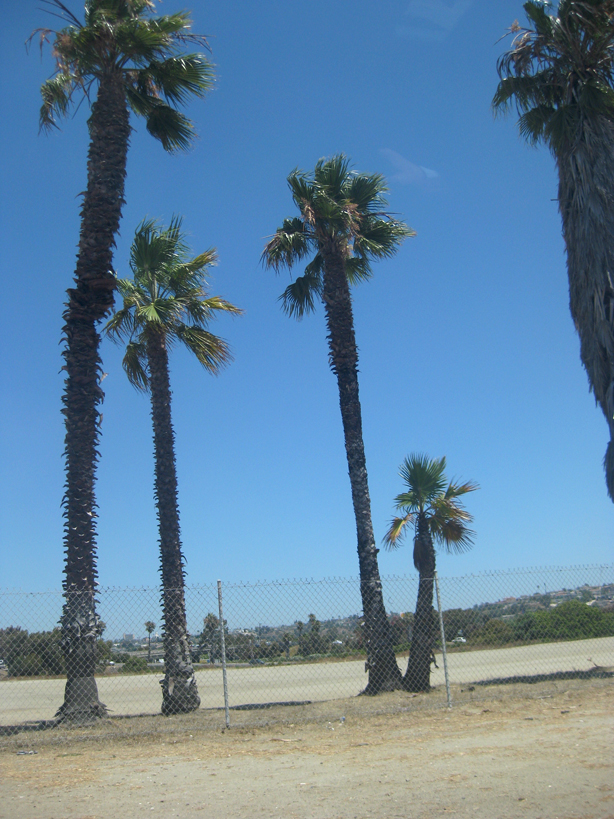 san-diego-day-4-blogher-6