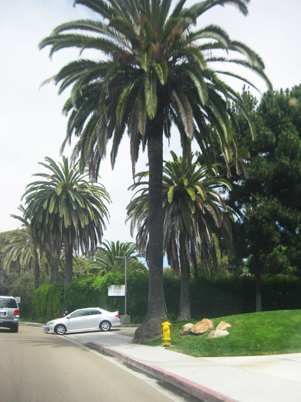 san-diego-day-4-blogher-8