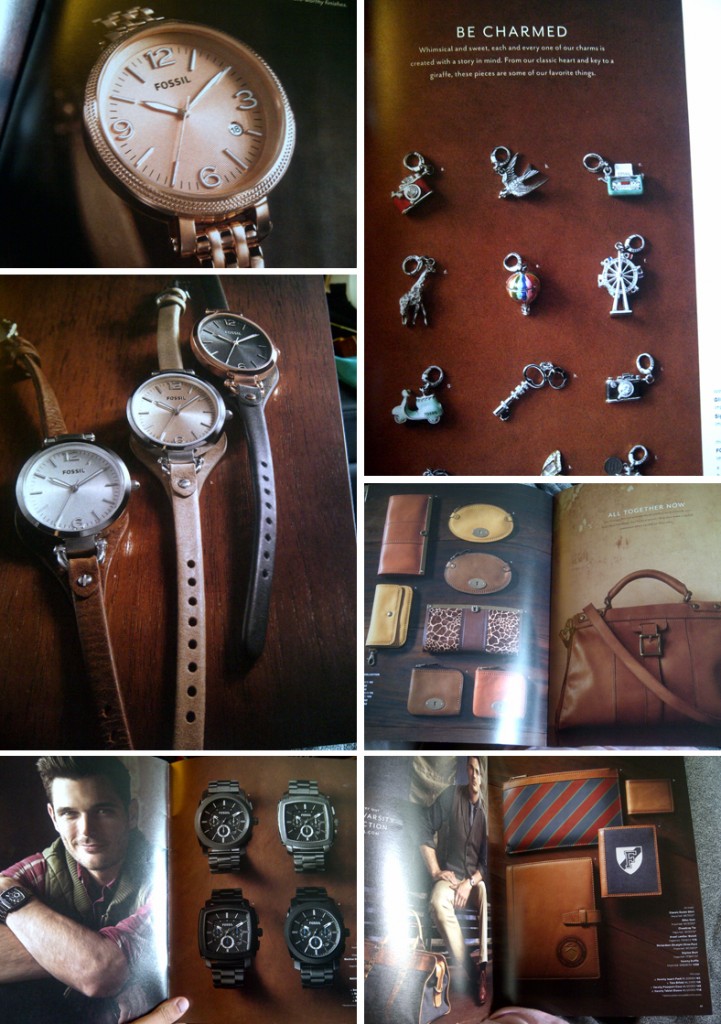 Fossil-collection-fall-2012