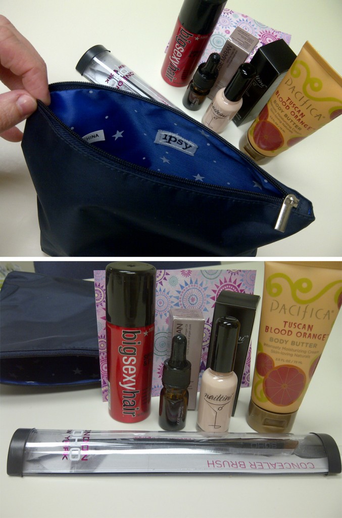 ipsy-january-bag