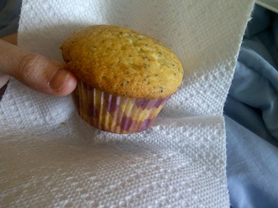 muffins