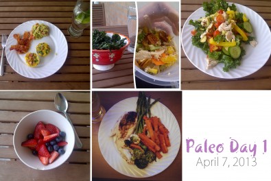 Paleo-Day-1