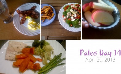 Paleo-Day-14