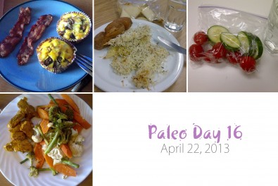 Paleo-day-16