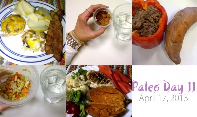 paleo-day-11