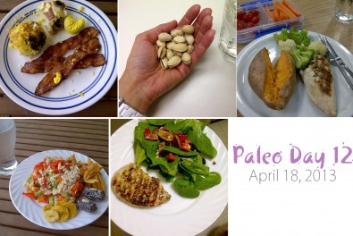 paleo-day-12