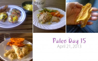 paleo-day-15