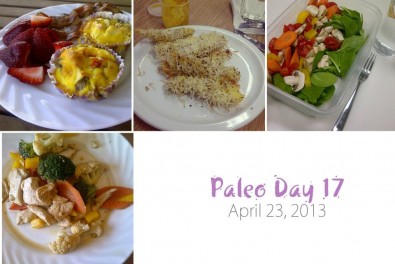 paleo-day-17