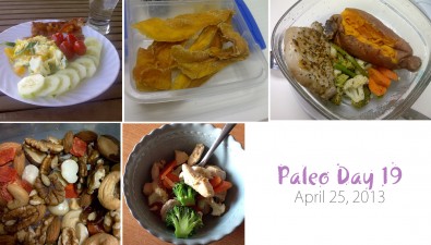 paleo-day-19