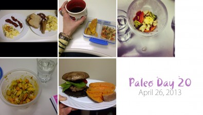 paleo-day-20