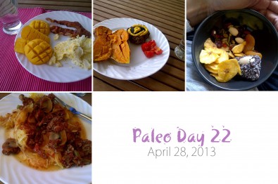 paleo-day-22