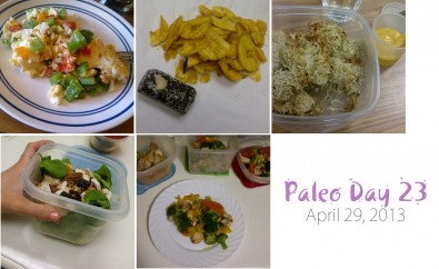 paleo-day-23