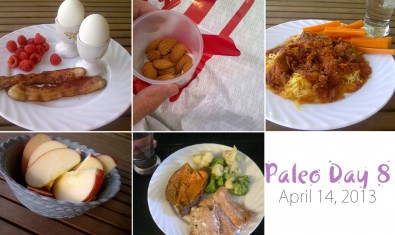 paleo-day-8