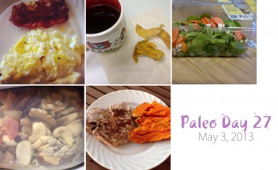 paleo-day-27