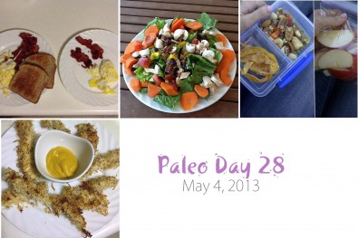 paleo-day-28