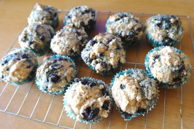 blueberry-muffins