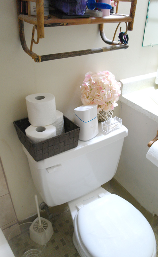 Cottonelle-toilet-paper