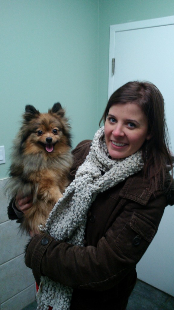 Alfie at the vet