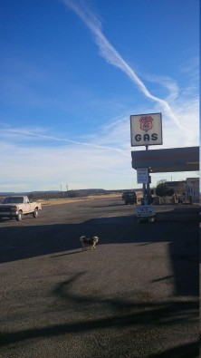 Route 66 gas