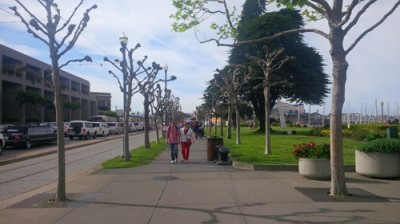 Walking-the-waterfront