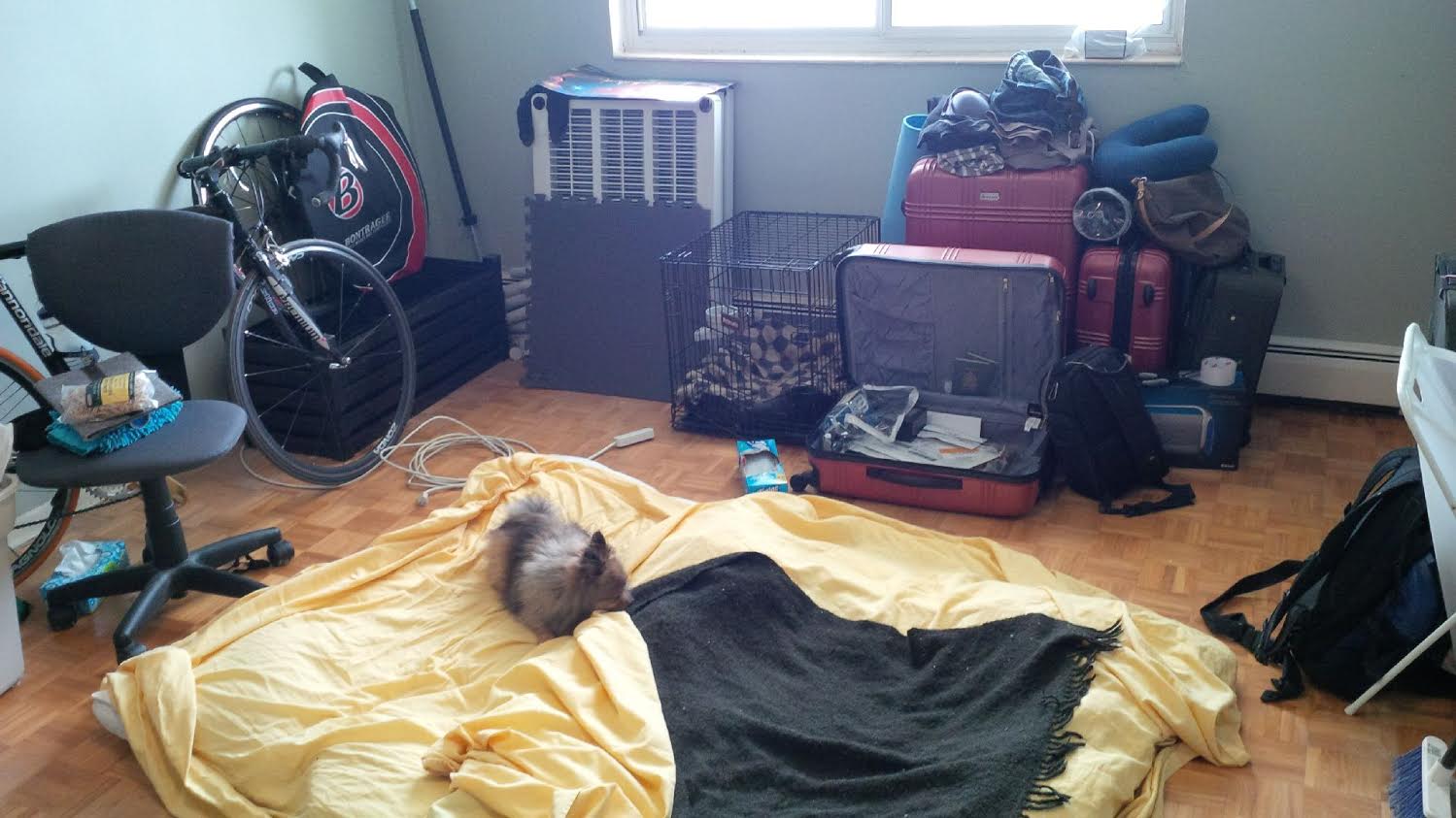 packing up