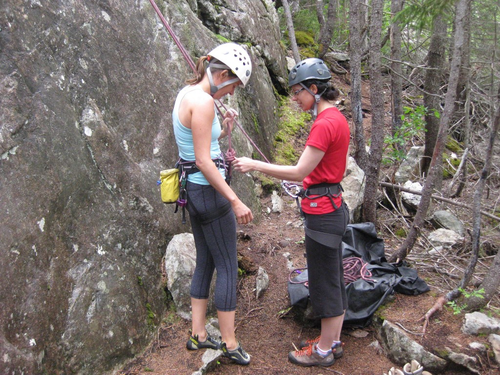 harness checks