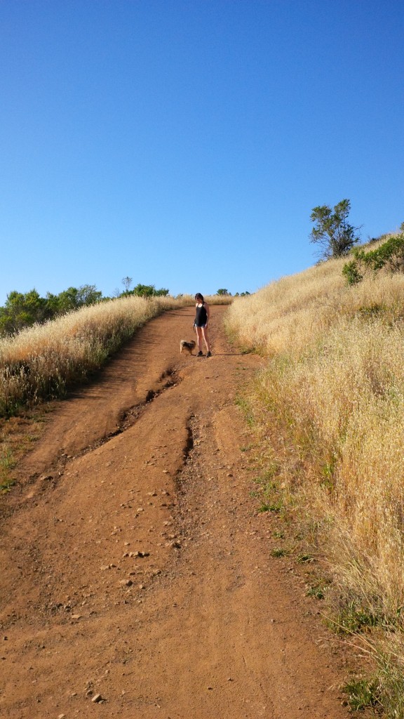 Hiking with Alfie