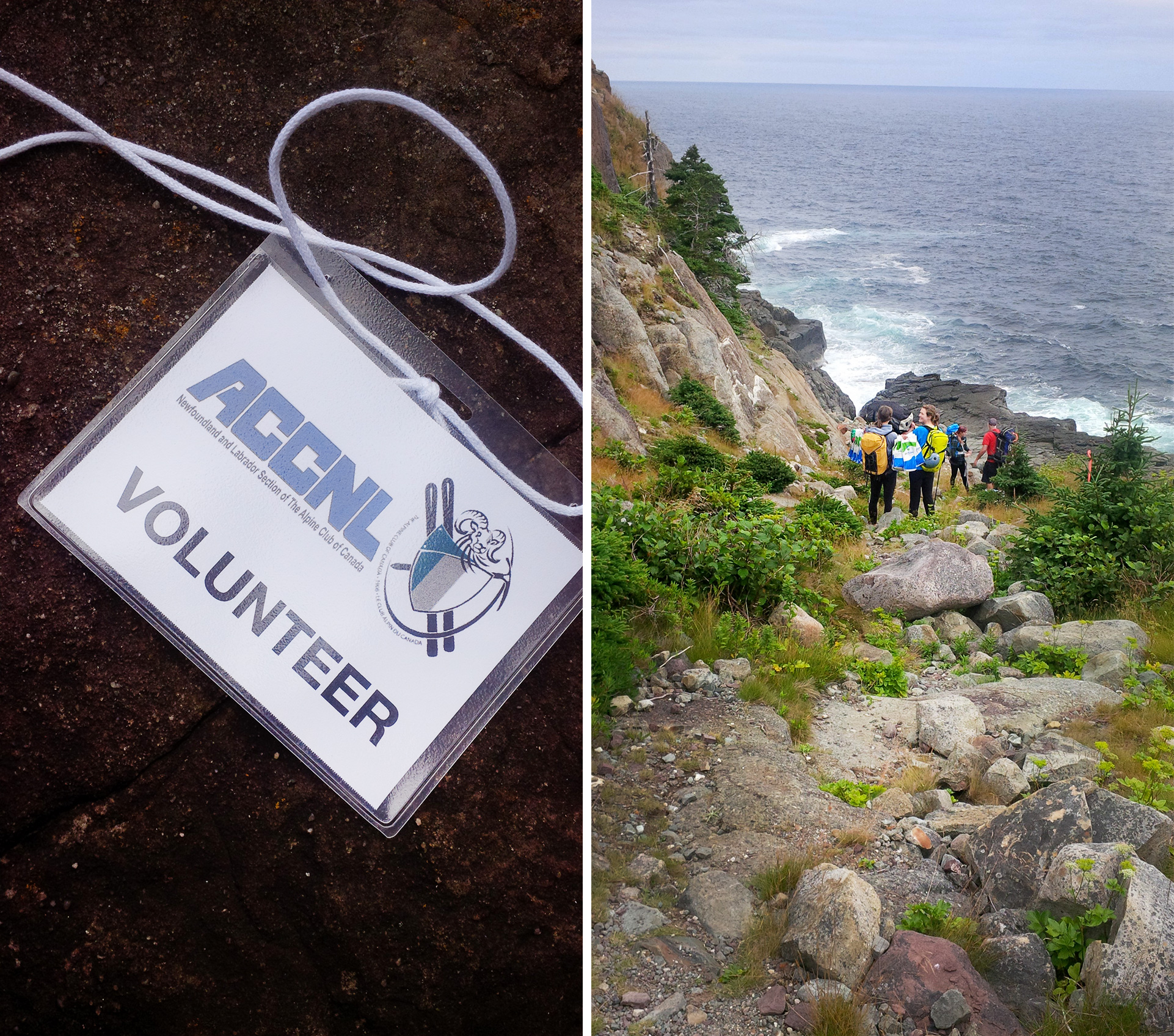 ACCNL-volunteer