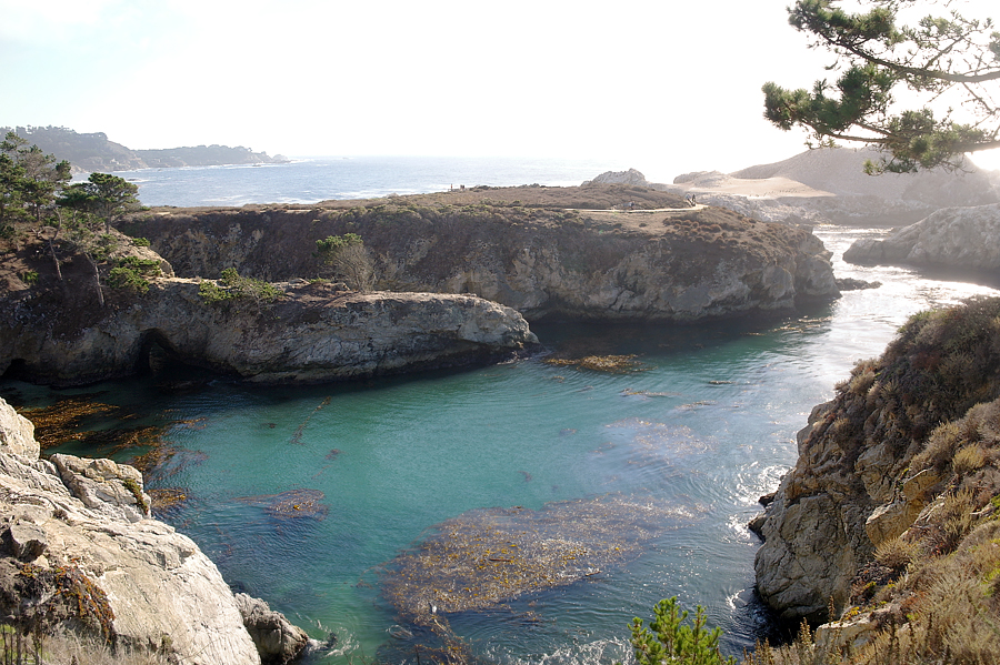 Point-Lobos