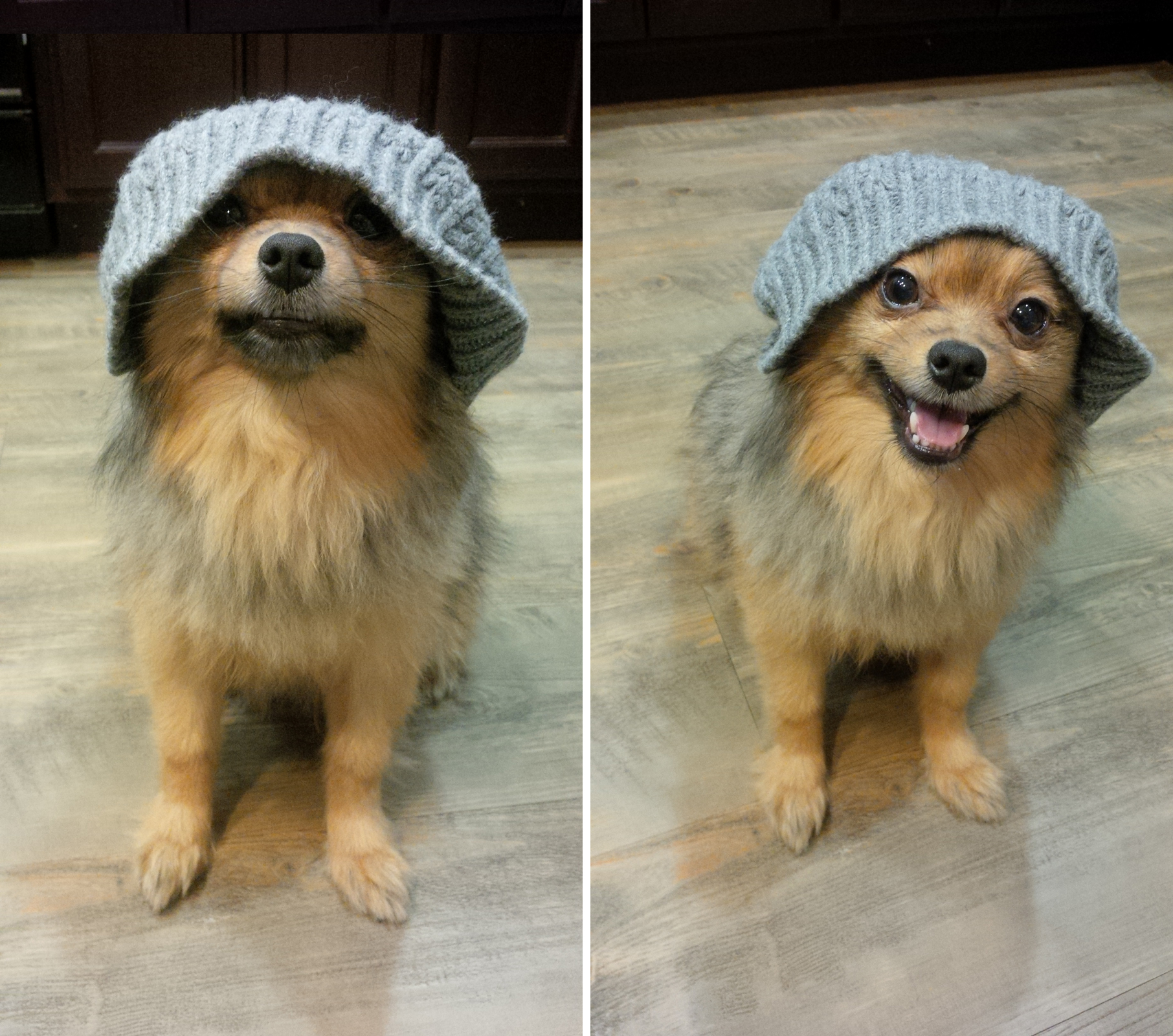 Alfie-beanie-hipster