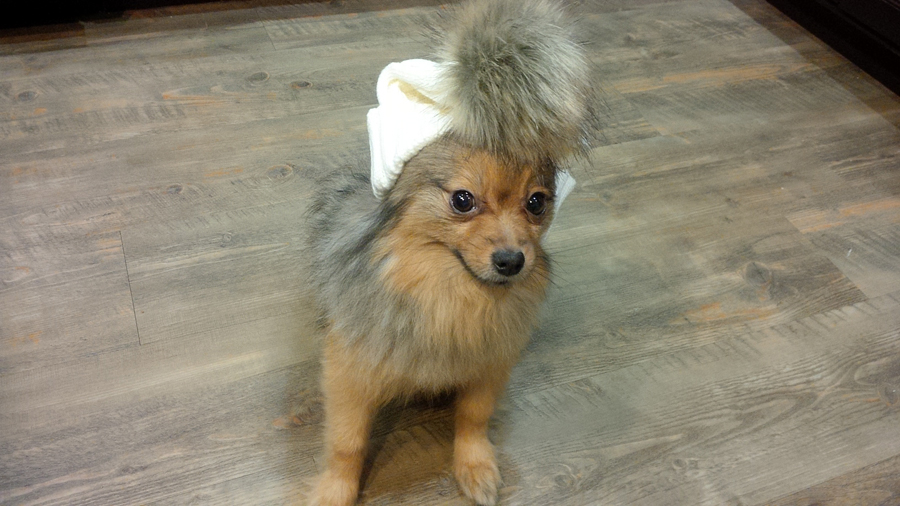 Alfie-pompom-hat