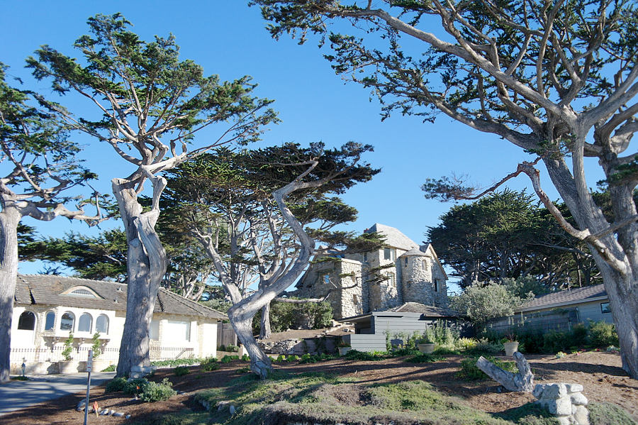 Trees-and-a-Carmel-Castle