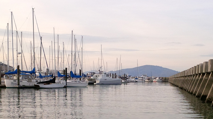 boats-in-SF