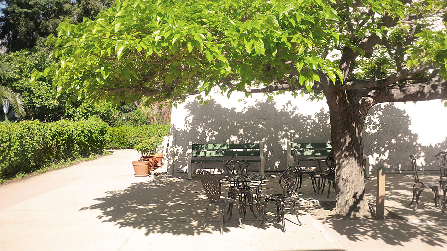 Table-chairs-under-tree