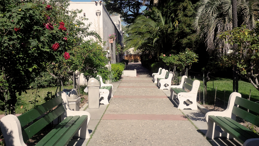 Walking-out-of-ros-gardens