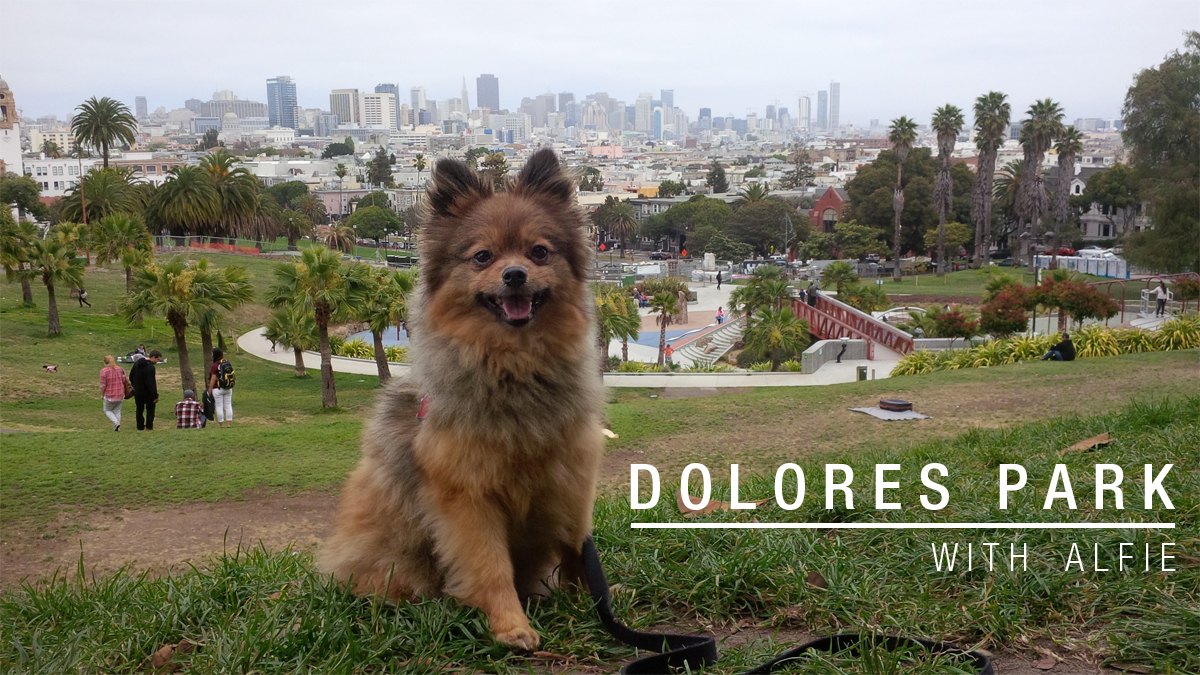 Dolores-Park-with-Alfie