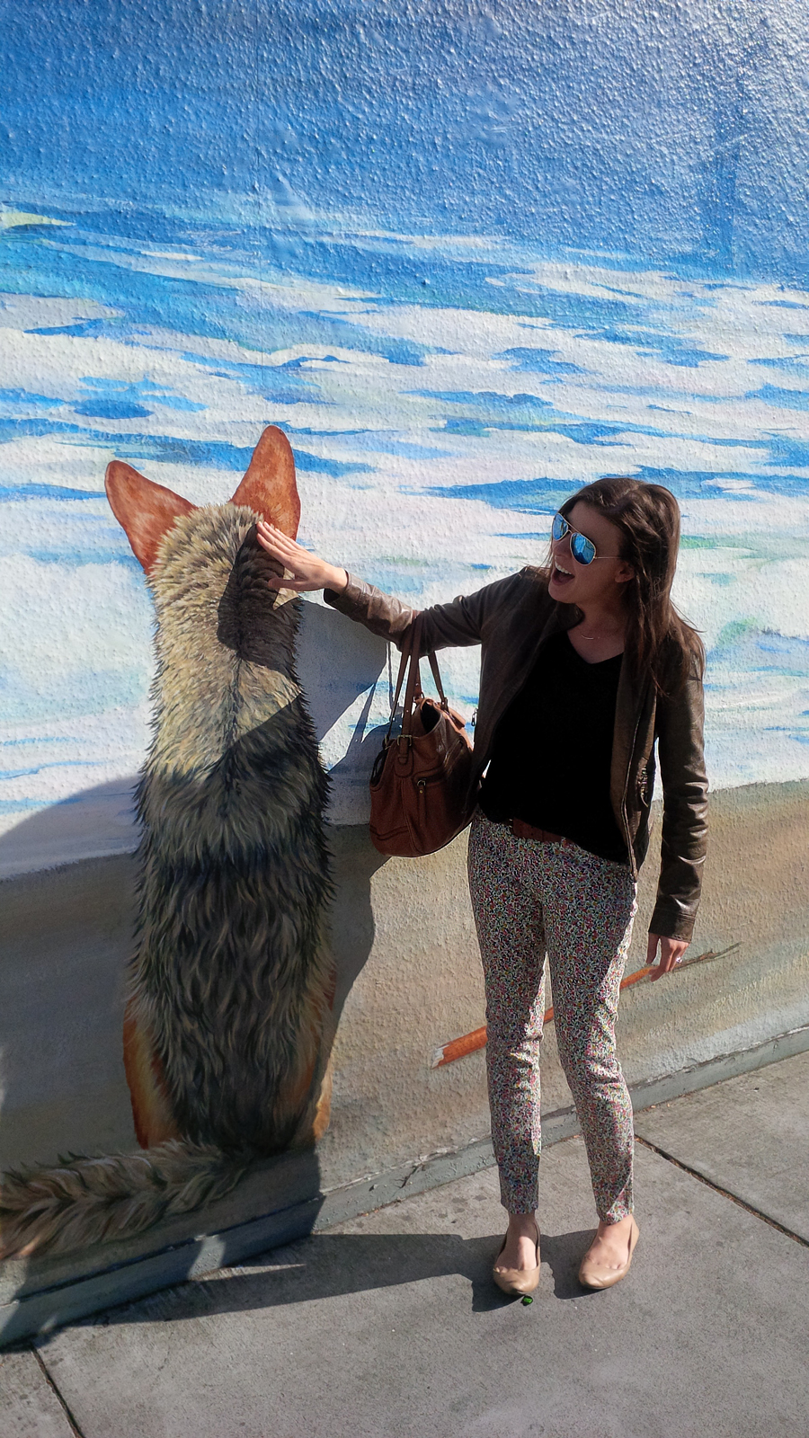 Dog-painting-sebastopol