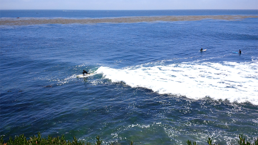 Santa-Cruz-surfers