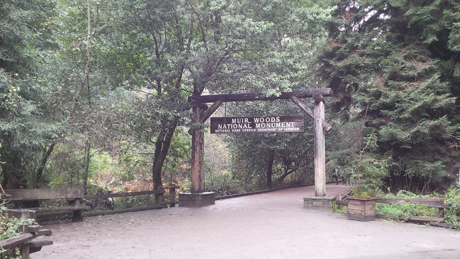 Muir-Woods-entrance
