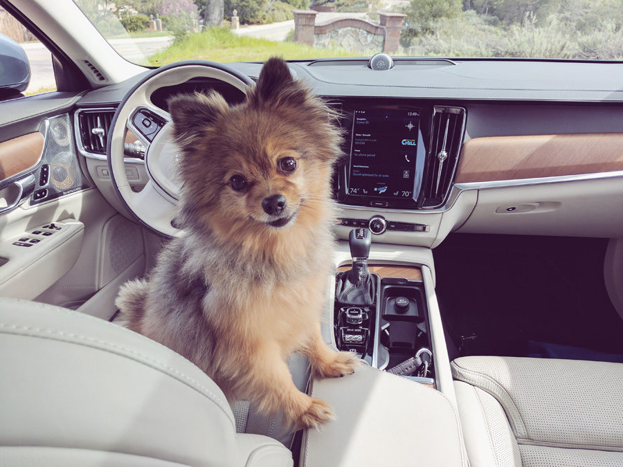 2017 Volvo S90 T6 interior