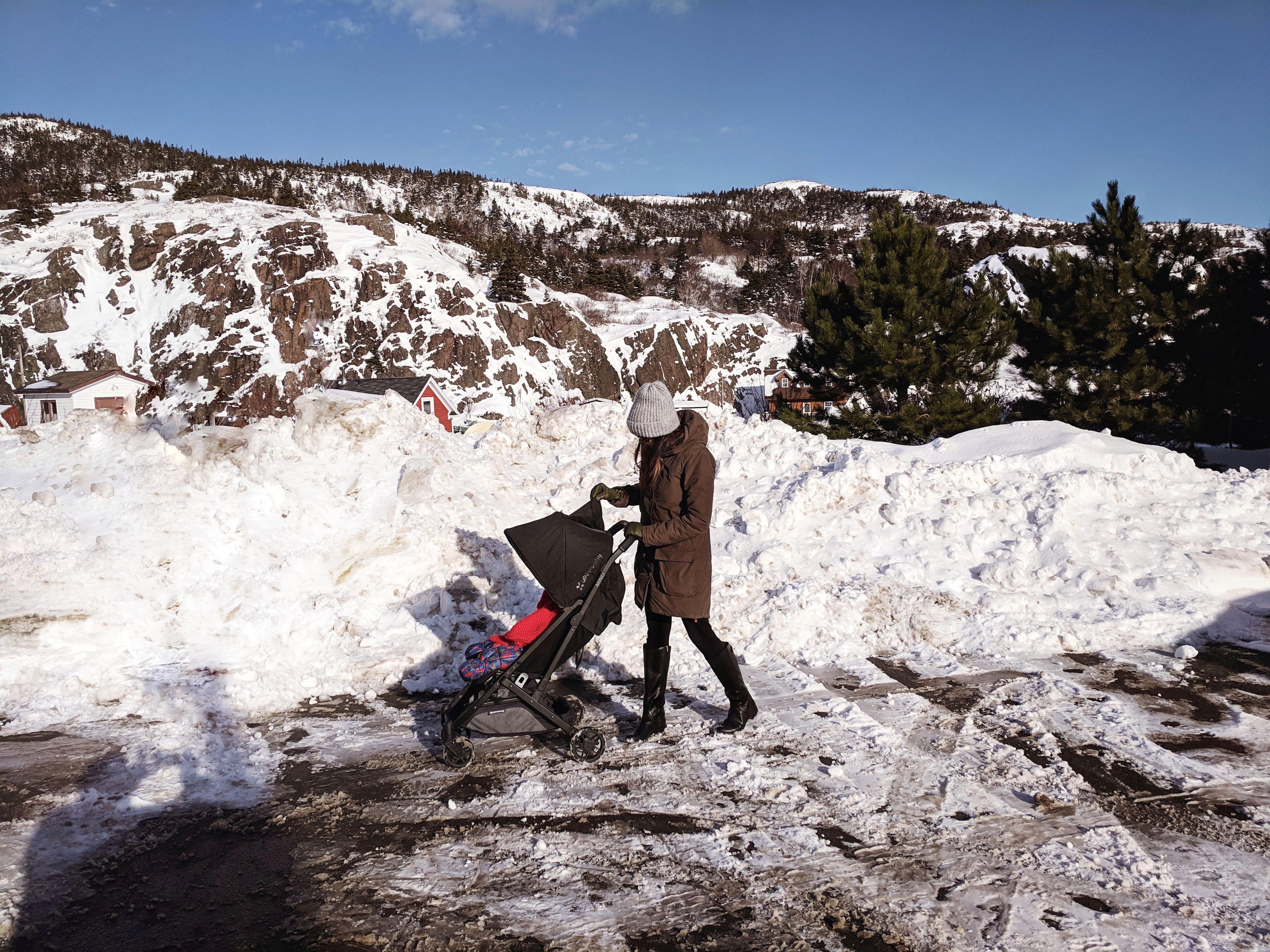 uppababy vista in snow