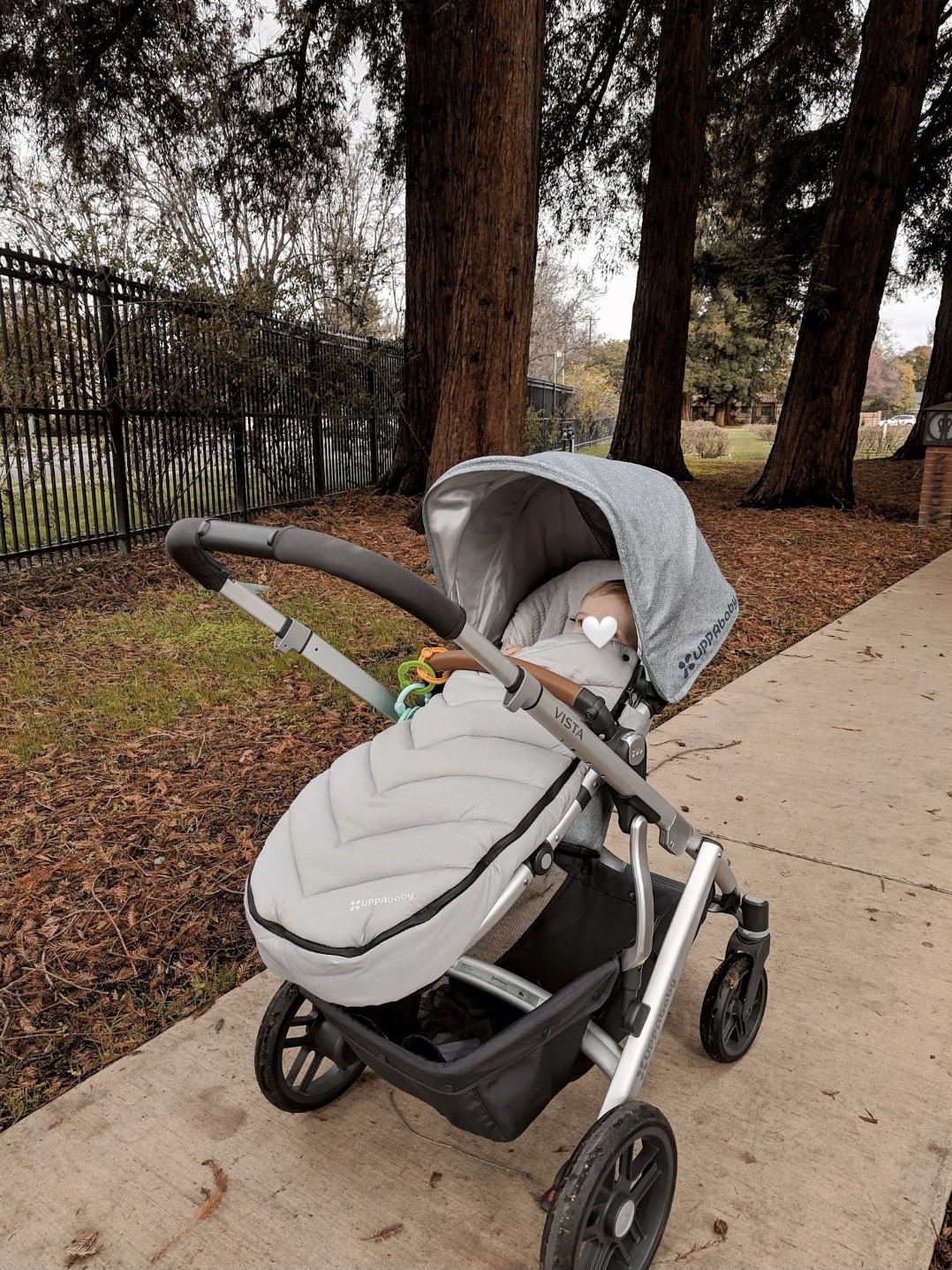 the bay uppababy vista