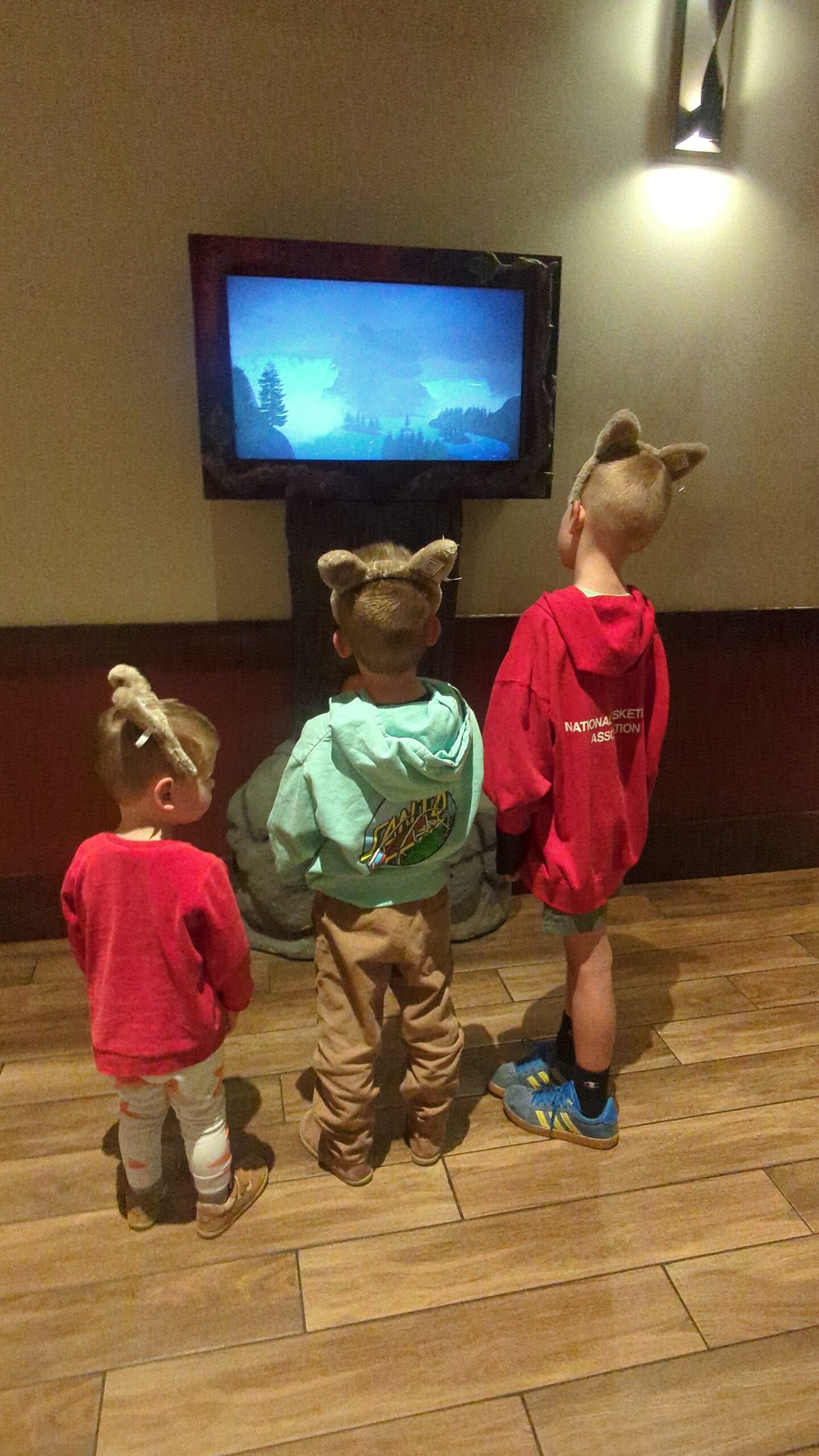 Three little wolves ready to play at the Great Wolf Lodge.